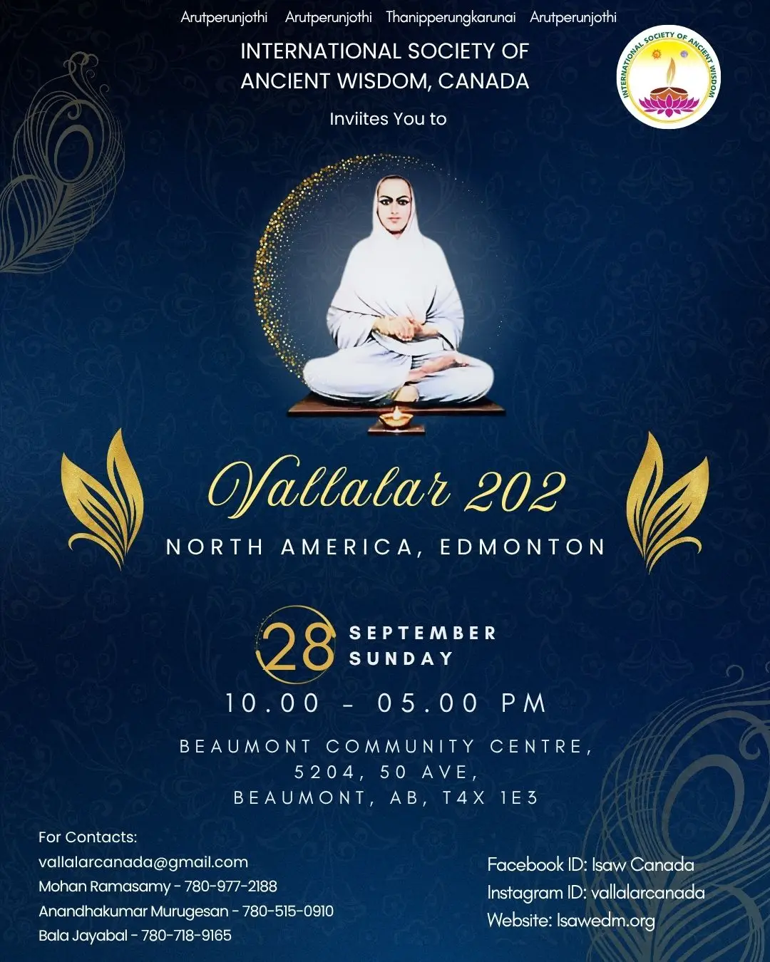 Custom birthday party poster design for social media platforms