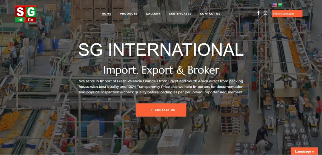 Website design services for businesses near me – professional web design